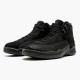 LJR Jordan 12 Retro OVO Black Black/Black/Metallic Gold 873864-032