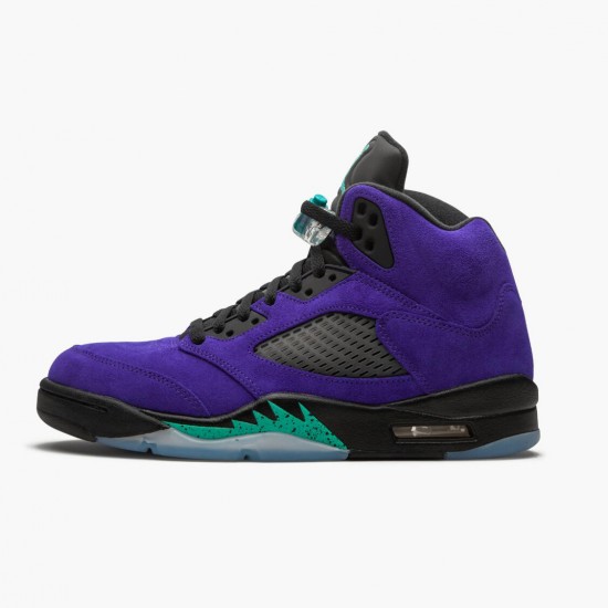 LJR Jordan 5 Retro Alternate Grape Grape Ice/Black Clear New Emer 136027-500