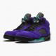 LJR Jordan 5 Retro Alternate Grape Grape Ice/Black Clear New Emer 136027-500