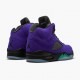 LJR Jordan 5 Retro Alternate Grape Grape Ice/Black Clear New Emer 136027-500