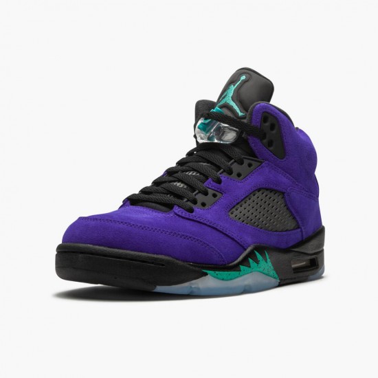 LJR Jordan 5 Retro Alternate Grape Grape Ice/Black Clear New Emer 136027-500