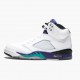 LJR Jordan 5 Retro Grape  White/New Emerald Grp Ice Blk 136027-108