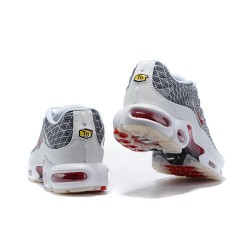 Nike Air Max Plus Tn Men Grey and White Sneakers